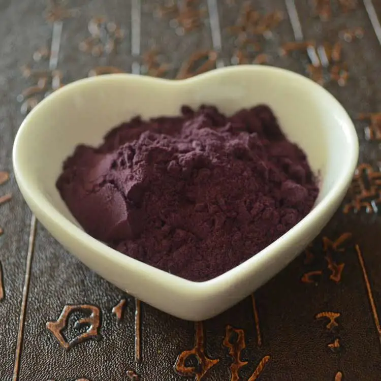 Instant Fruit Juice Powder Spraying Dried Blueberry Fruit Powder